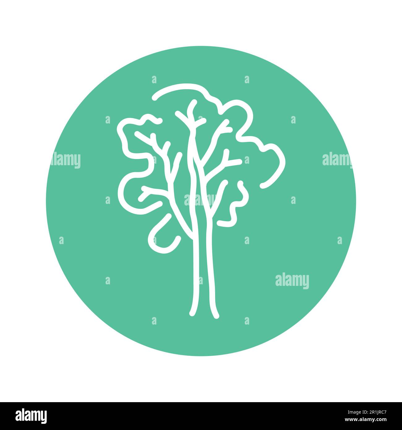 Ash tree Stock Vector Images Alamy