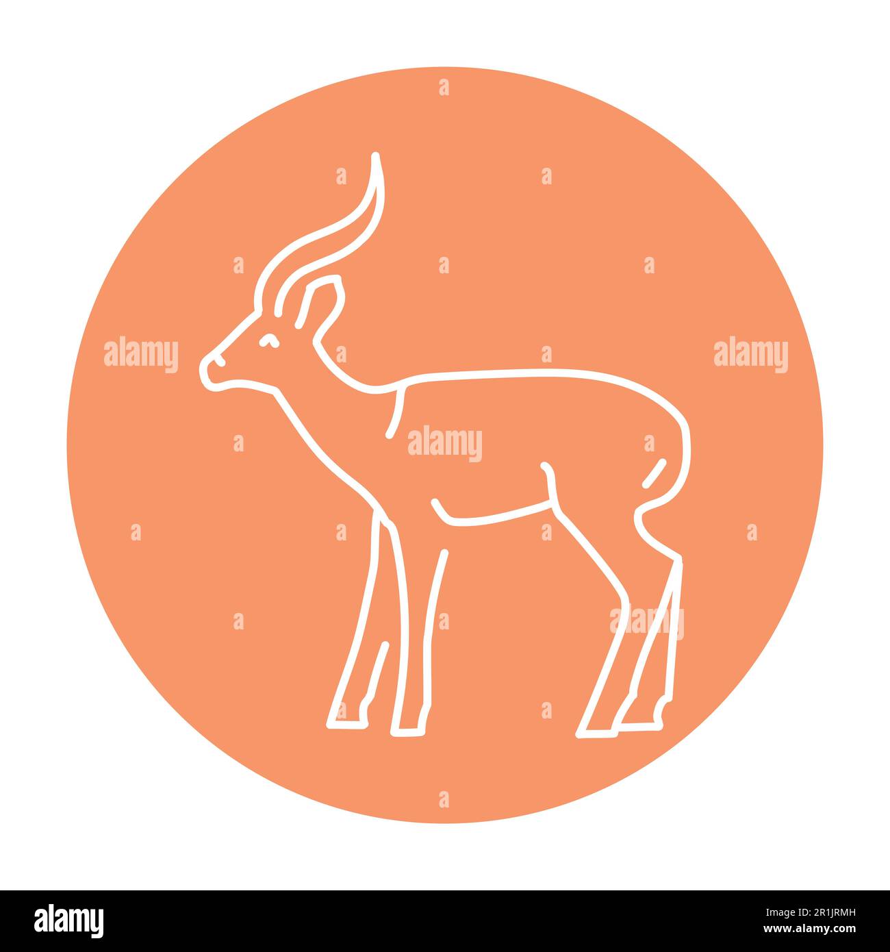 gazelle colours