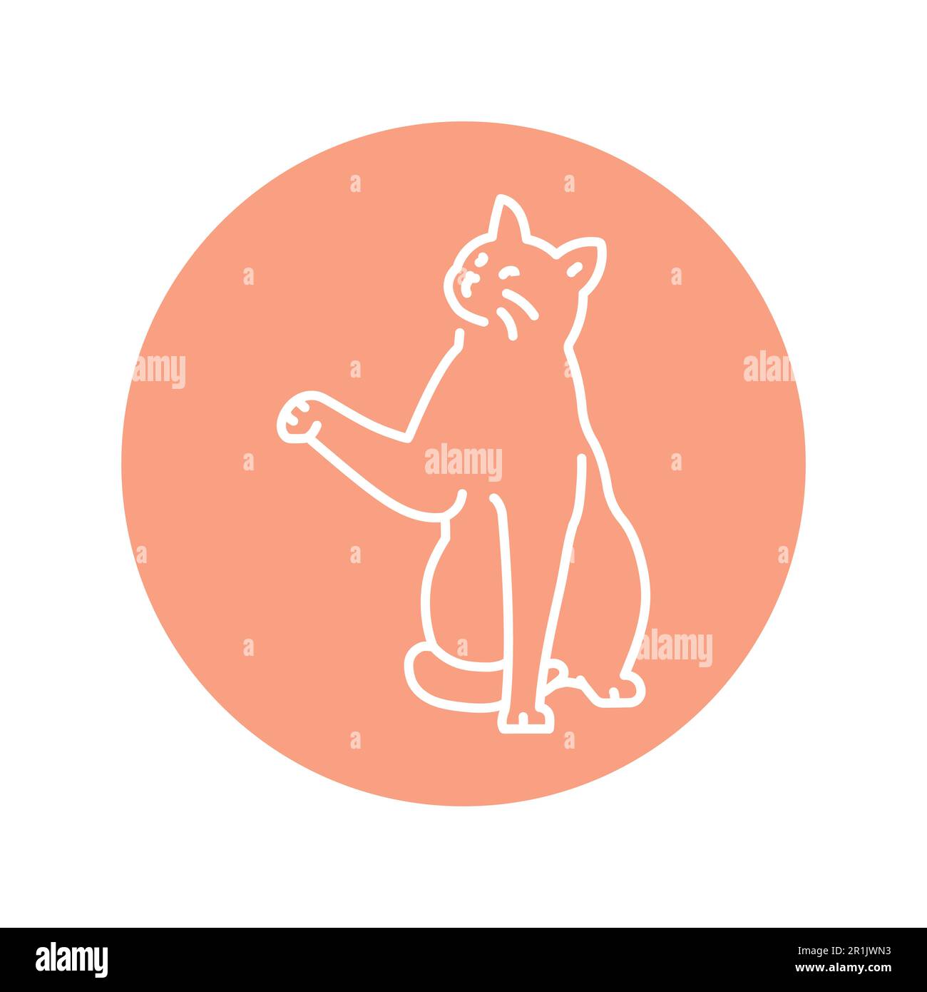 Cat line and solid icon, pets concept, kitten sign on white background,  sitting cat silhouette icon in outline style for mobile concept and web  design Stock Vector Image & Art - Alamy