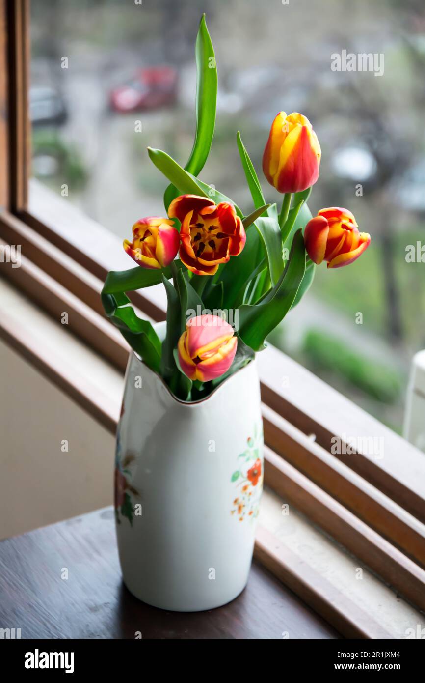 A white porcelain jug containing a bouquet of red and yellow tulips on next to a window. Vertical image with selective focus and blurred background. Stock Photo
