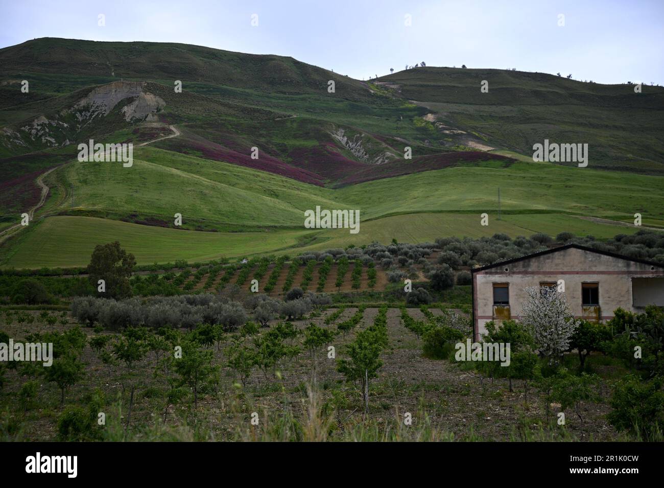 Rural landscape with scenic view of a traditional farmhouse in the ...