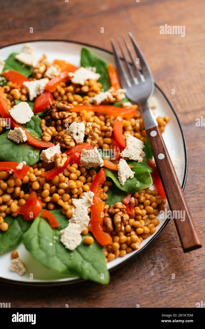 Spinach and Lentil Salad with Roasted Peppers, Walnuts and Vegan Feta Stock Photo