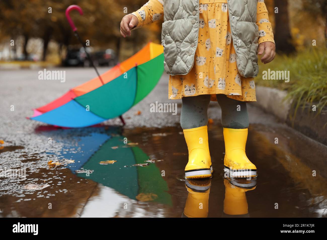 Little girl wearing yellow rubber boots standing in puddle outdoors ...