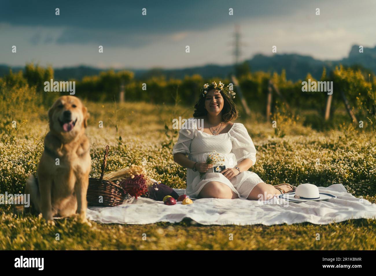 A pregnant woman in a white dress enjoys a serene outdoor picnic, surrounded by fresh apples and a basket of dry flowers, exuding the joy of expectanc Stock Photo