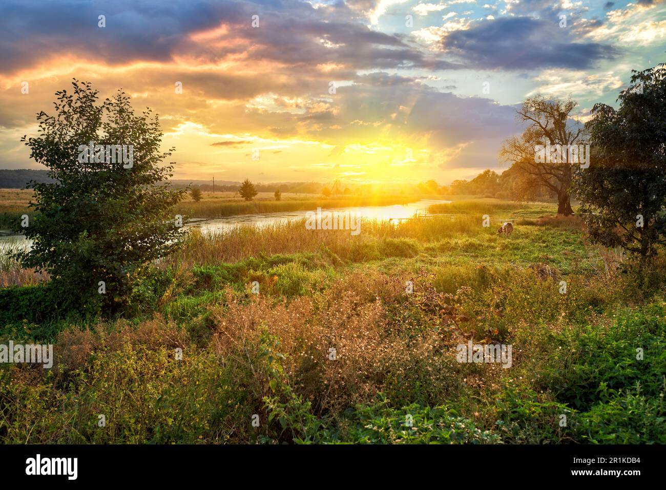 Uyda yalangoch etuk ruslar