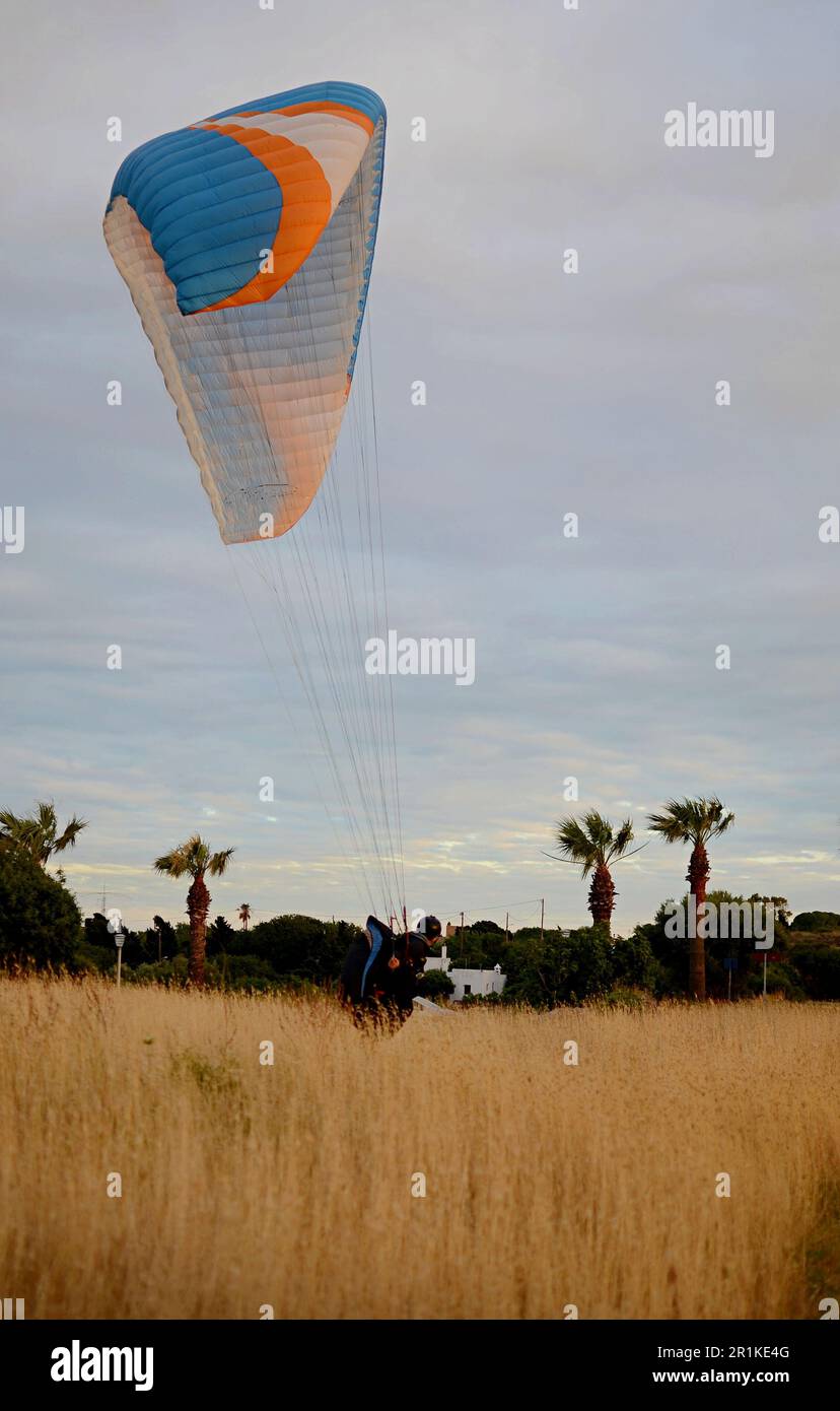 Preparing for a wing parachute jump.The athlete stands on the yellow grass,holds the parachute ropes.The parachute type'wing' has an orange-blue color Stock Photo