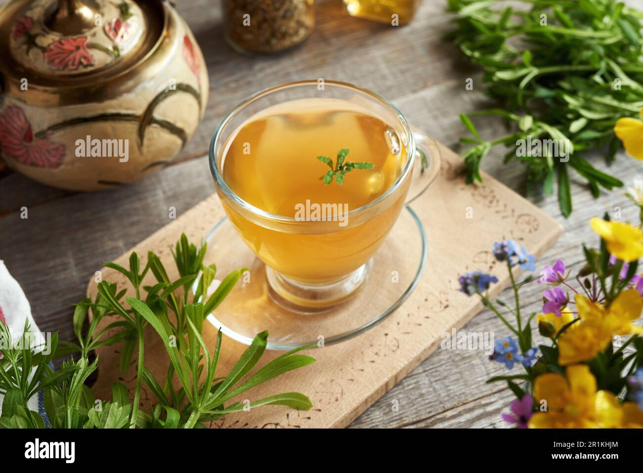 A cup of herbal tea with fresh cleavers plant and spring flowers Stock