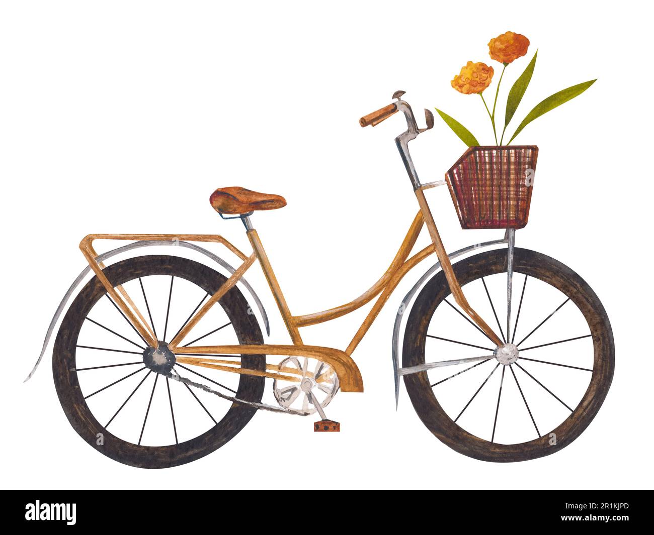 Watercolor illustration of bicycle with a basket and orange flowers