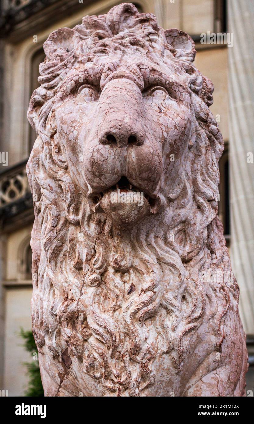 One of two lion statues stand guard at the entrance to the Biltmore