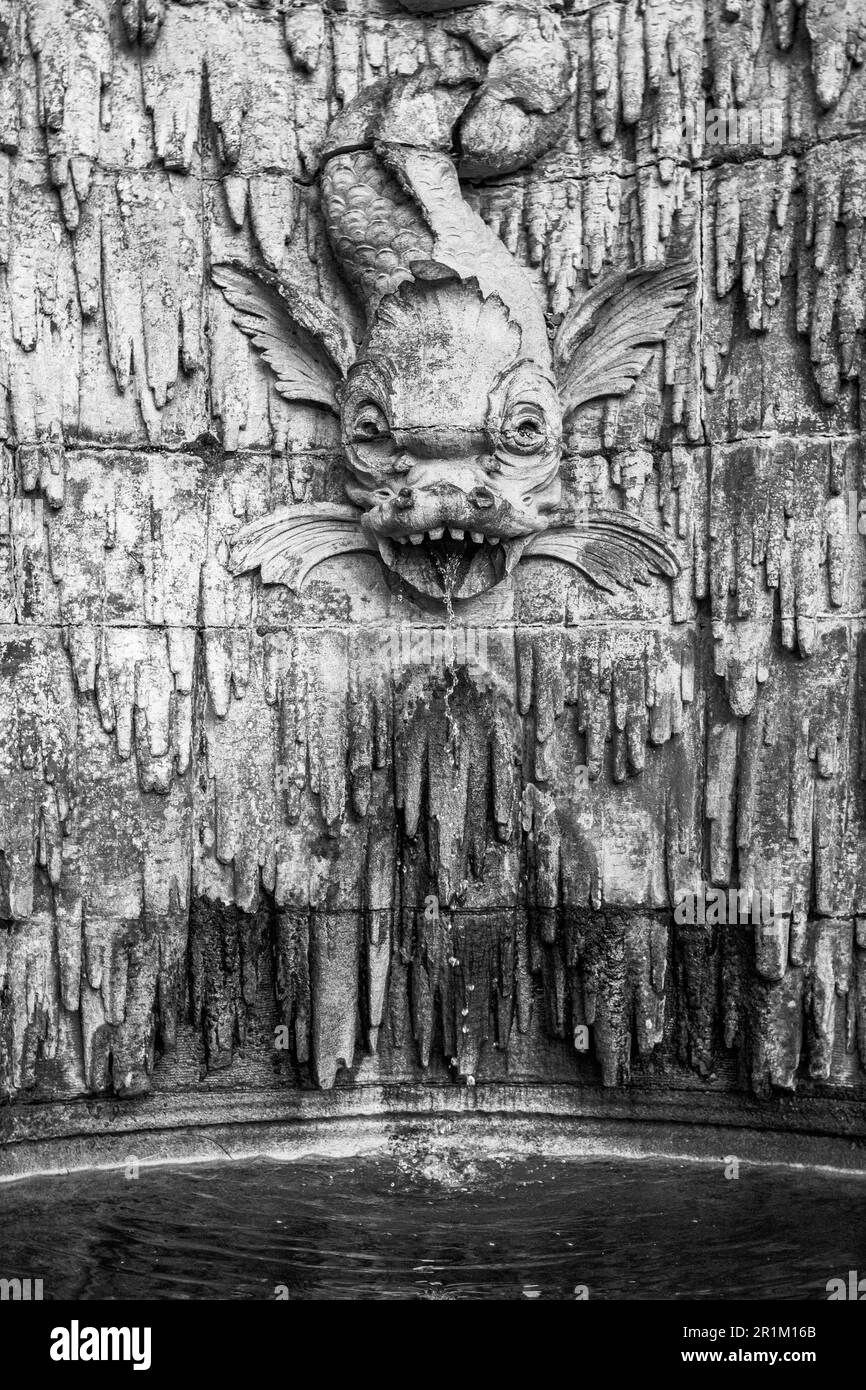 A dragon-fish grotesque spouts water into a pool on a wall along the esplanade at the Biltmore Estate in Asheville, NC, USA Stock Photo