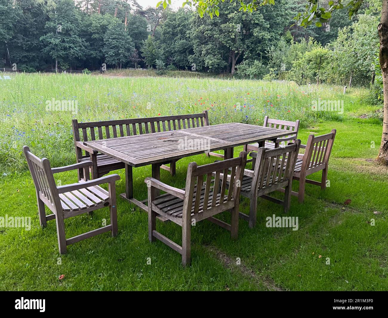 Wooden Table With Bench And Chairs In Garden Landscape Design Stock wooden-table-with-bench-and-chairs-in-garden-landscape-design-stock