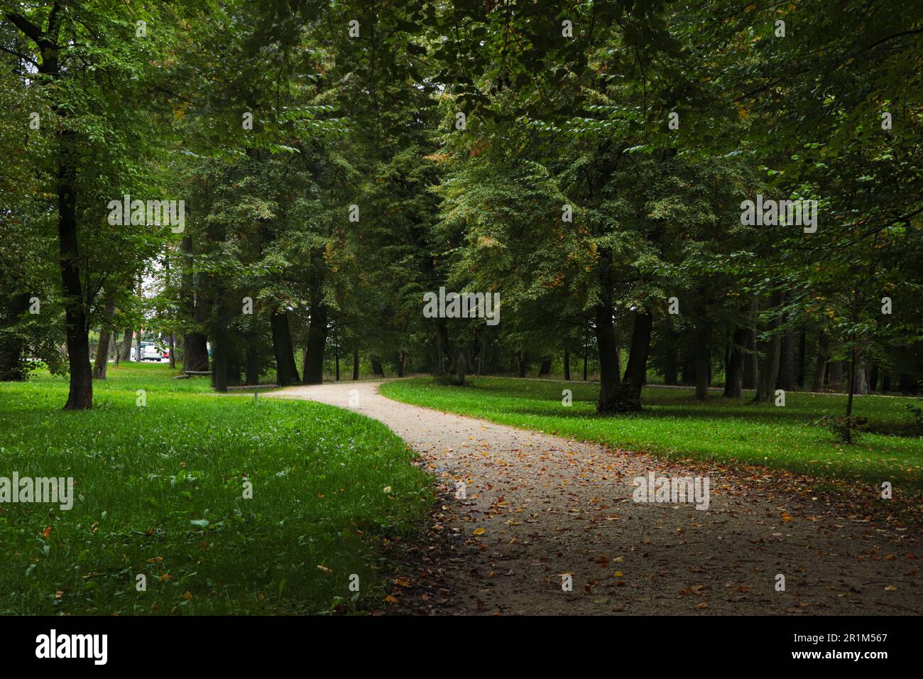 Beautiful public city park with pathway and green grass Stock Photo - Alamy