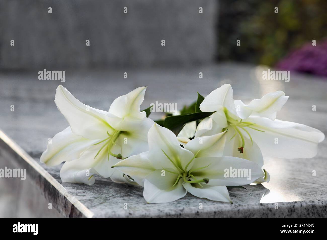 White lilies on granite tombstone outdoors. Funeral ceremony Stock
