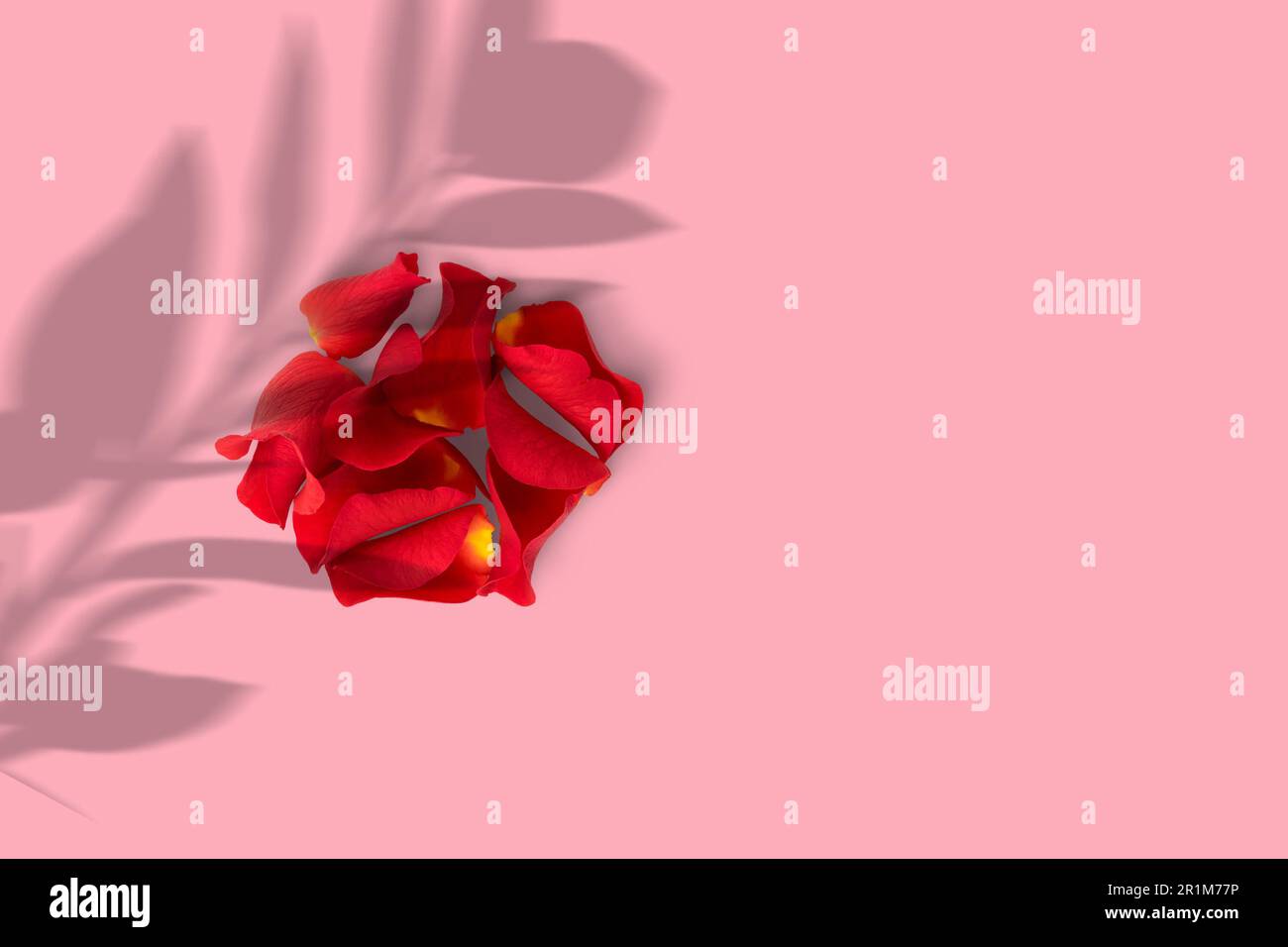 Close up flying red rose hi-res stock photography and images - Alamy