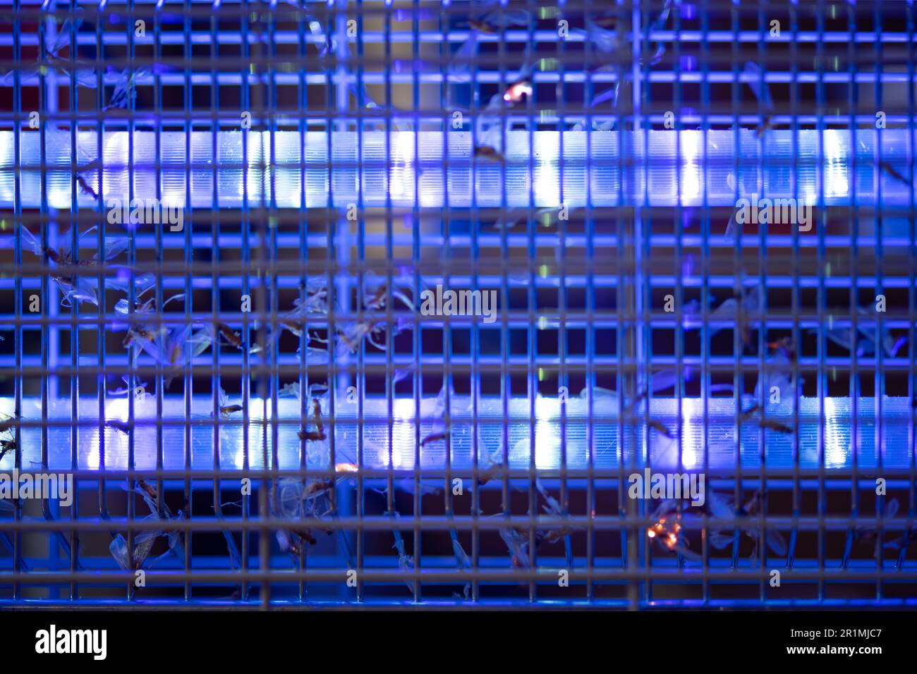 electric indoor mosquito and insect killer catching and killing lots of