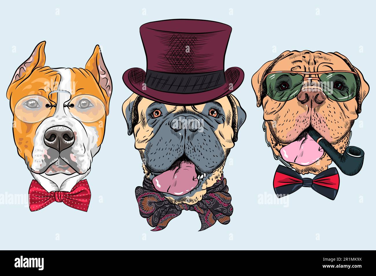 Vector set of dogs in hat and bow tie, American Staffordshire Terrier