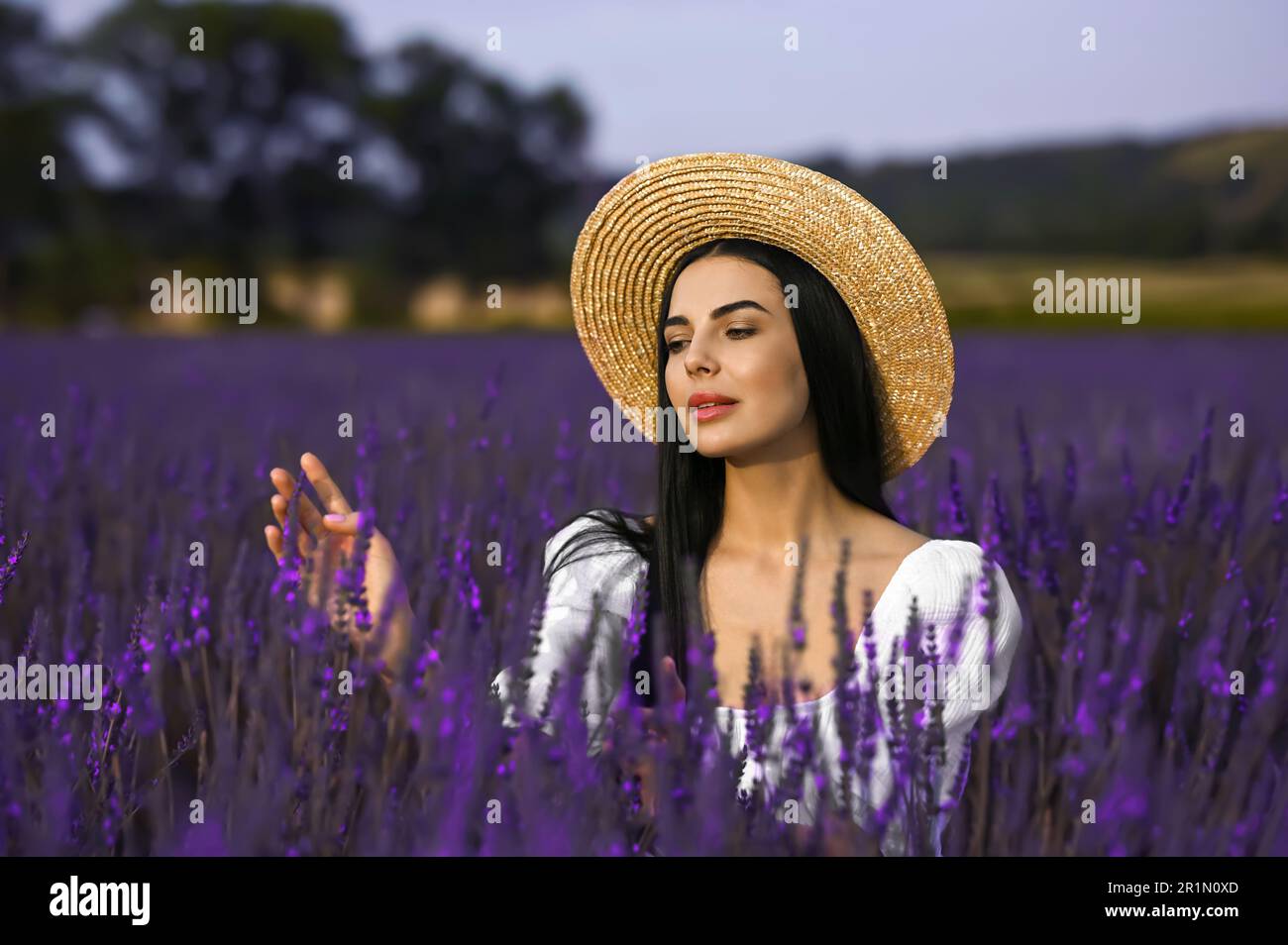 Beautiful young woman with straw hat in lavender field Stock Photo - Alamy