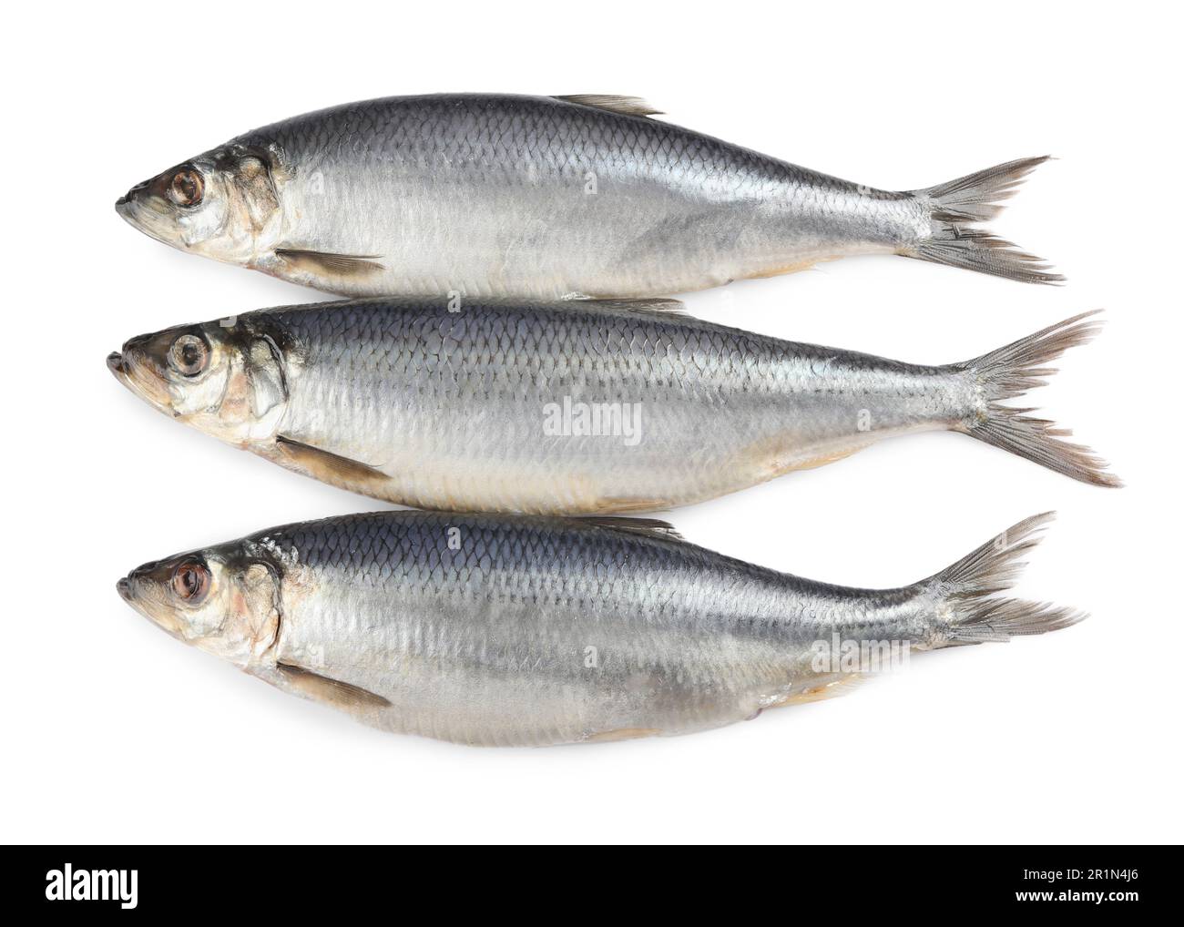 Delicious whole salted herrings isolated on white, top view Stock Photo