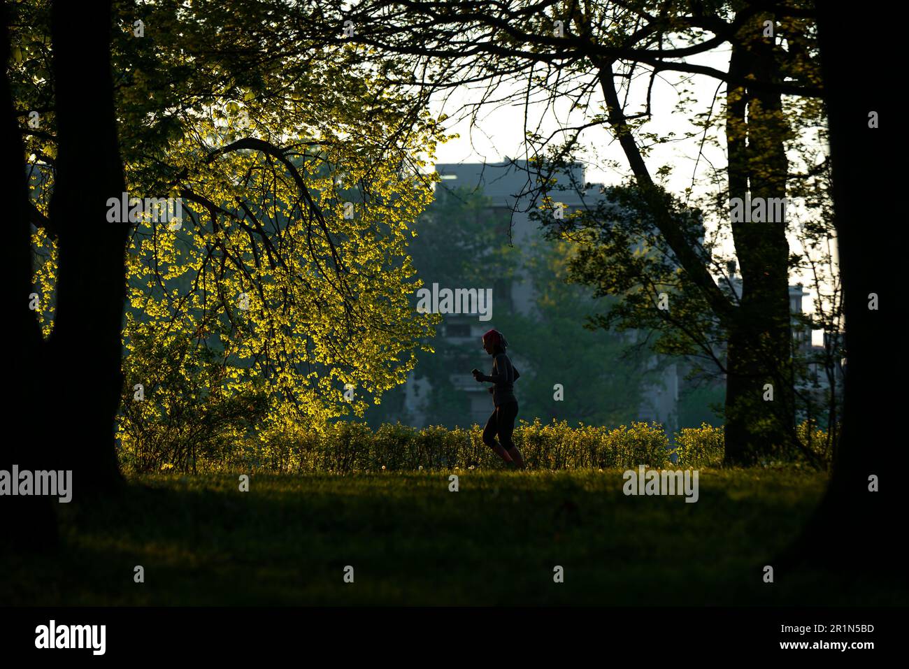The woman jogging in the morning lights. People needs a green area where they can do sports. People like run in between trees. The run in green area i Stock Photo