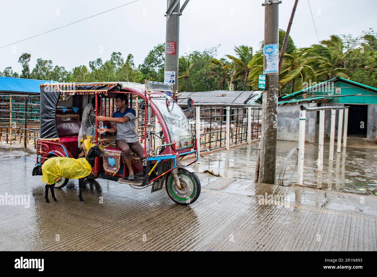 Cyclone Mokha has hit Myanmar hard. A part of its center passed over the island of St. Martin in Bangladesh. But coming from the sea to the ground, Mokha becomes much weaker. Due to this, there was no major damage. Cox's Bazar district administration had taken all kinds of preparations to deal with cyclone Mokha. Residents of the coastal areas were moved to shelters due to the fear of strong storm. Among them, there are more residents of Cox's Bazar's Nazirartek, Samitypara, Maheshkhali's Dhalghata, Sonadia, Gharibhanga and Qutubjom, Teknaf's Baharchhara, Shahpari Island and St. Martin Island. Stock Photo
