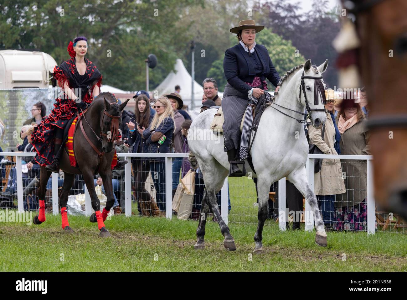 Riders participate in the Class 114 Purebred PRE, PRE Fusion and PRE Associated Breeds - Ridden (Spanish) at this years Royal Windsor Horse Show, UK Stock Photo