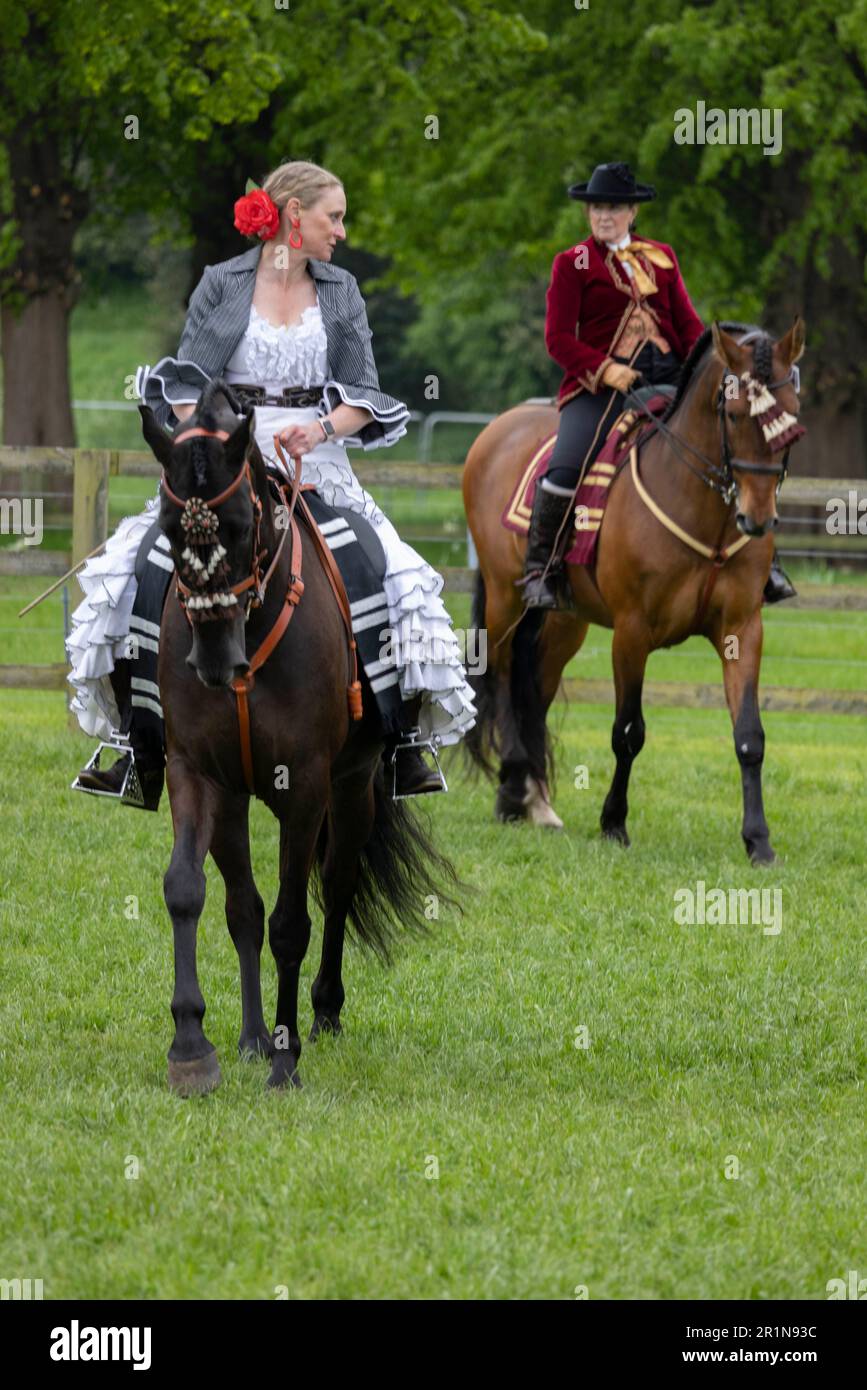 Riders participate in the Class 114 Purebred PRE, PRE Fusion and PRE Associated Breeds - Ridden (Spanish) at this years Royal Windsor Horse Show, UK Stock Photo