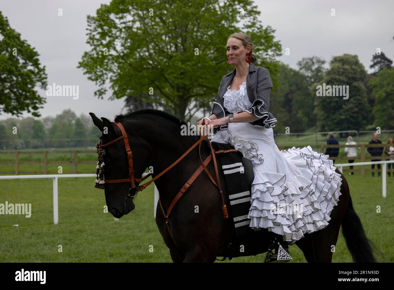 Riders participate in the Class 114 Purebred PRE, PRE Fusion and PRE Associated Breeds - Ridden (Spanish) at this years Royal Windsor Horse Show, UK Stock Photo