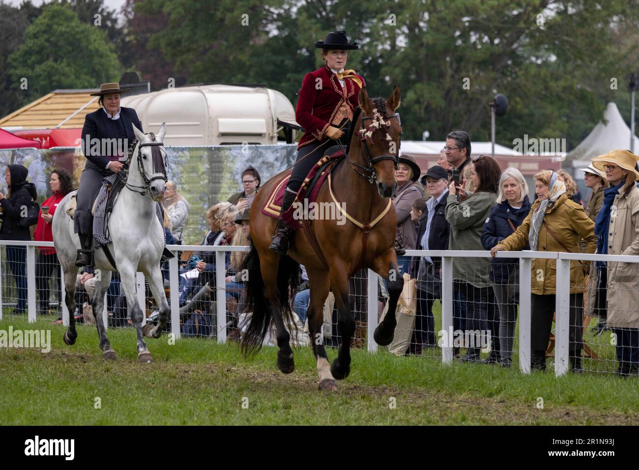 Riders participate in the Class 114 Purebred PRE, PRE Fusion and PRE Associated Breeds - Ridden (Spanish) at this years Royal Windsor Horse Show, UK Stock Photo