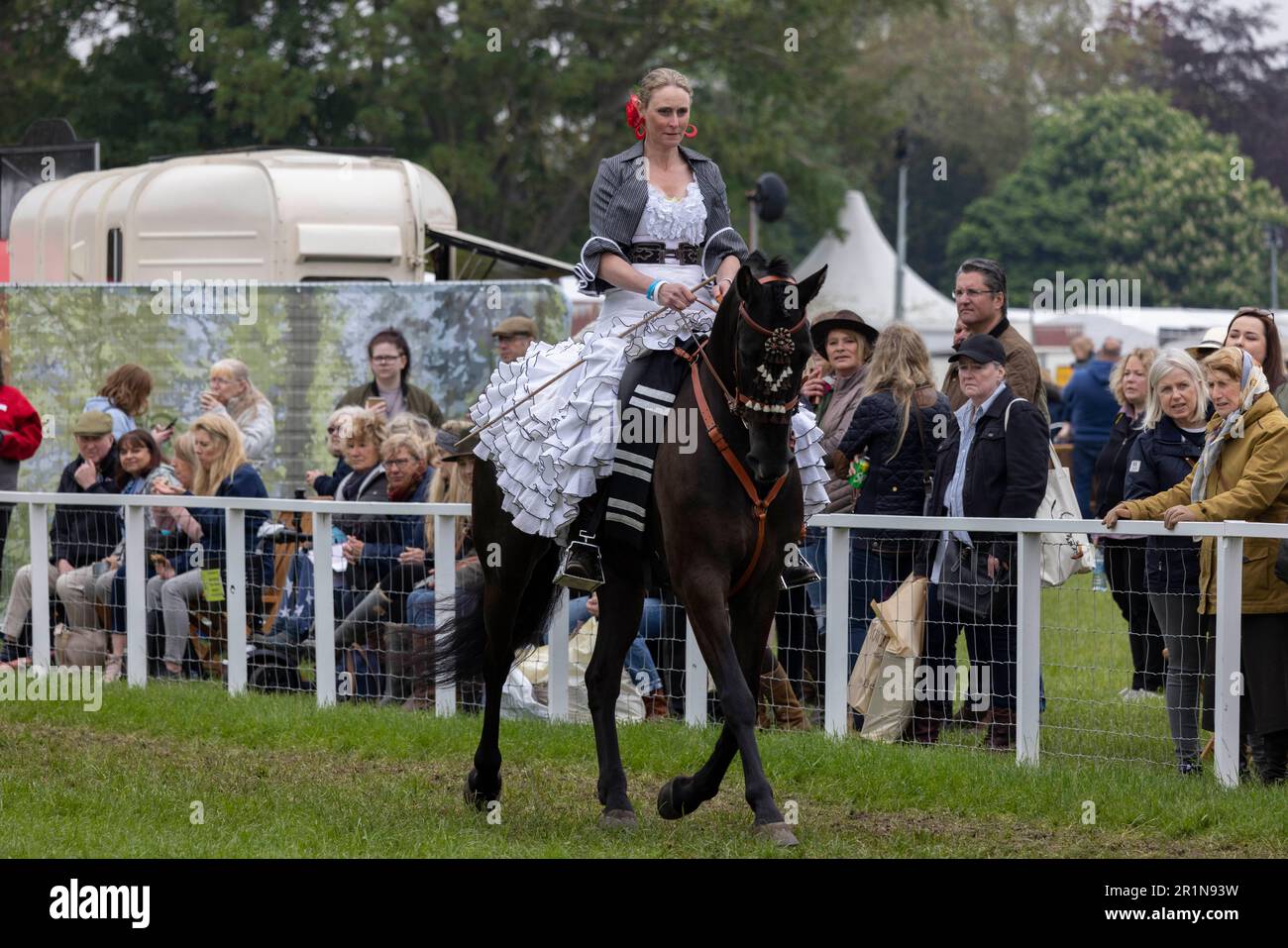 Riders participate in the Class 114 Purebred PRE, PRE Fusion and PRE Associated Breeds - Ridden (Spanish) at this years Royal Windsor Horse Show, UK Stock Photo