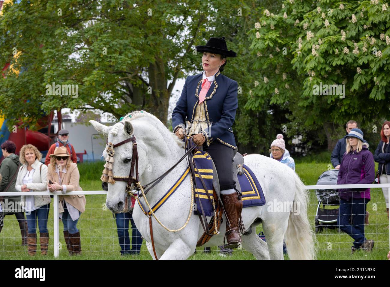 Riders participate in the Class 114 Purebred PRE, PRE Fusion and PRE Associated Breeds - Ridden (Spanish) at this years Royal Windsor Horse Show, UK Stock Photo