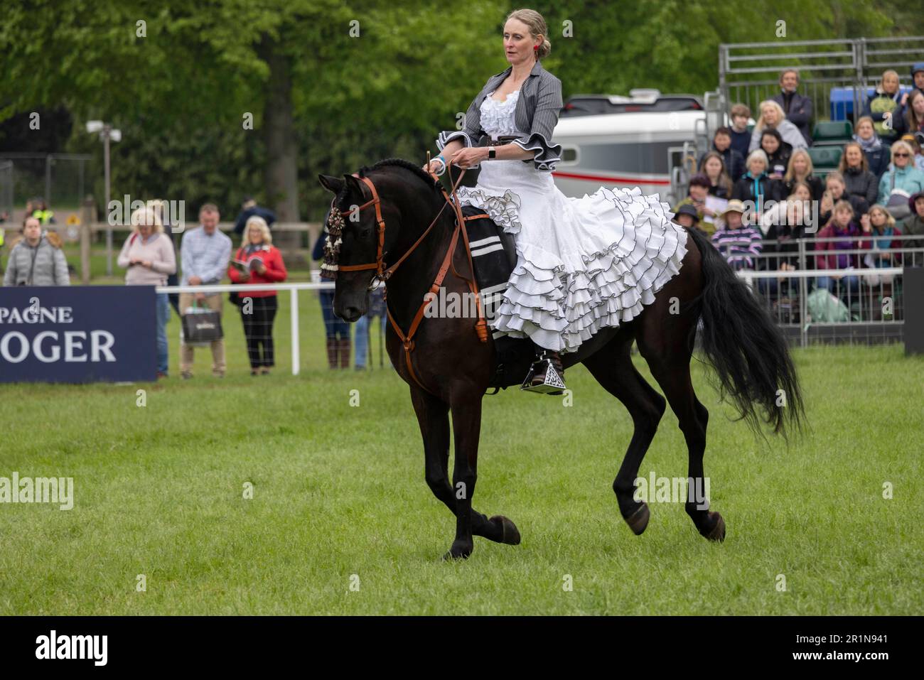 Riders participate in the Class 114 Purebred PRE, PRE Fusion and PRE Associated Breeds - Ridden (Spanish) at this years Royal Windsor Horse Show, UK Stock Photo