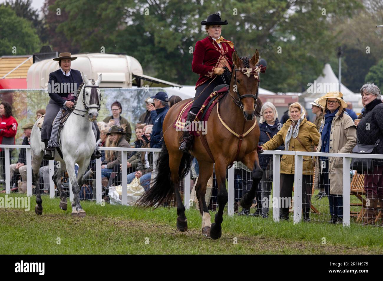 PHOTO:JEFF GILBERT 13th May 2023. Riders participate in the Class 114 Purebred PRE, PRE Fusion ands PRE Associated Breeds - Ridden (Spanish) at this y Stock Photo