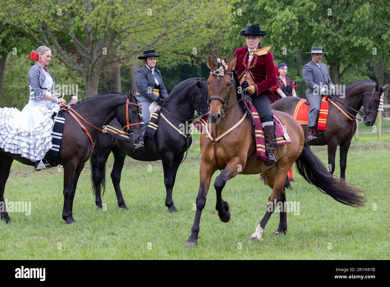 PHOTO:JEFF GILBERT 13th May 2023. Riders participate in the Class 114 Purebred PRE, PRE Fusion ands PRE Associated Breeds - Ridden (Spanish) at this y Stock Photo