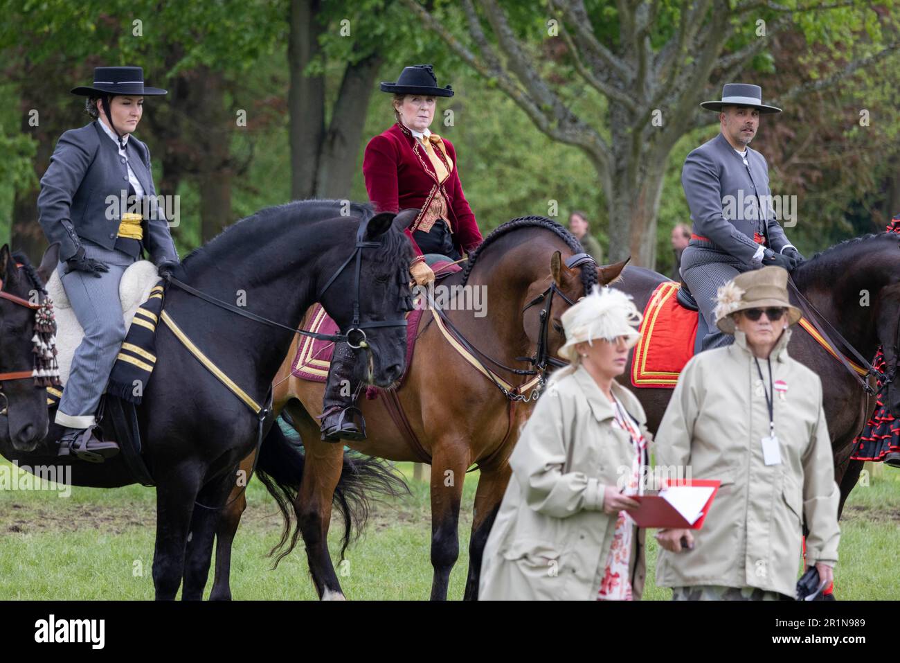 PHOTO:JEFF GILBERT 13th May 2023. Riders participate in the Class 114 Purebred PRE, PRE Fusion ands PRE Associated Breeds - Ridden (Spanish) at this y Stock Photo