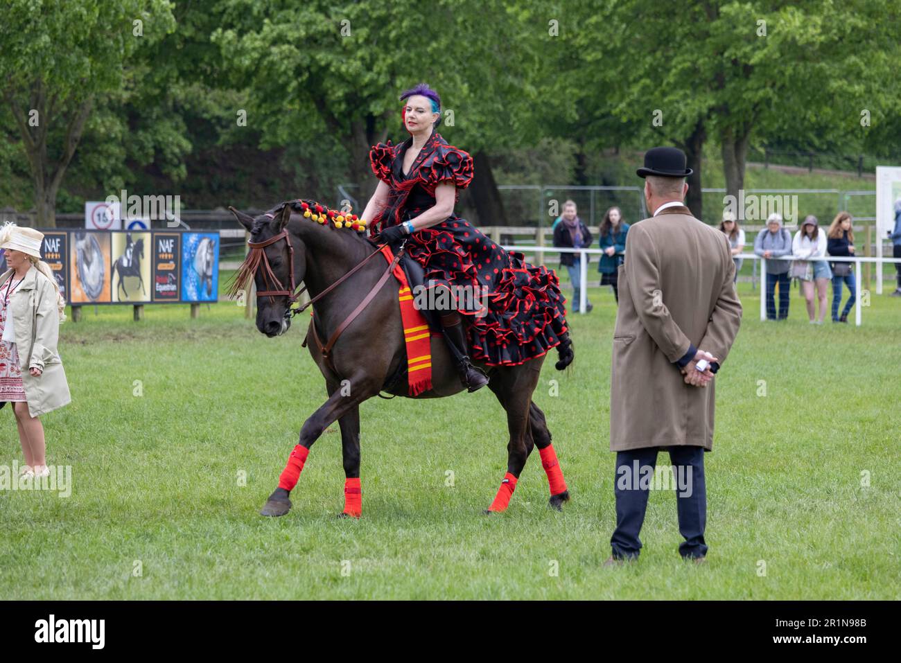 PHOTO:JEFF GILBERT 13th May 2023. Riders participate in the Class 114 Purebred PRE, PRE Fusion ands PRE Associated Breeds - Ridden (Spanish) at this y Stock Photo