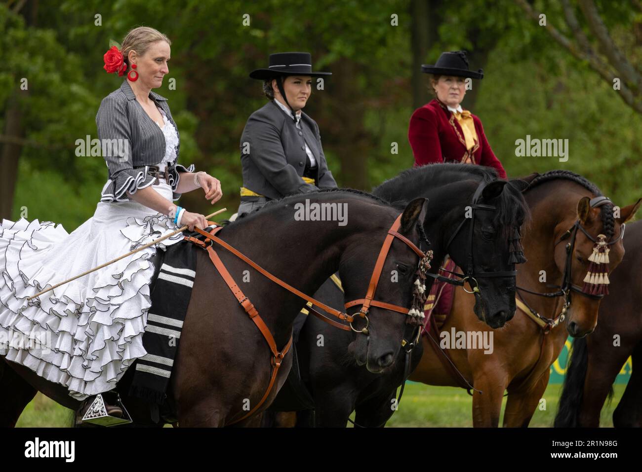 PHOTO:JEFF GILBERT 13th May 2023. Riders participate in the Class 114 Purebred PRE, PRE Fusion ands PRE Associated Breeds - Ridden (Spanish) at this y Stock Photo