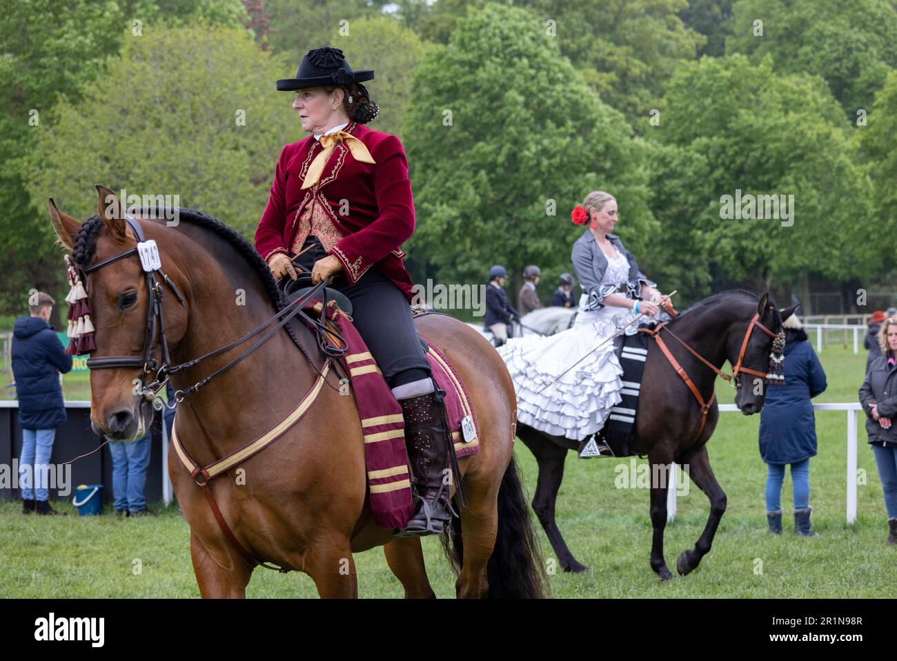PHOTO:JEFF GILBERT 13th May 2023. Riders participate in the Class 114 Purebred PRE, PRE Fusion ands PRE Associated Breeds - Ridden (Spanish) at this y Stock Photo