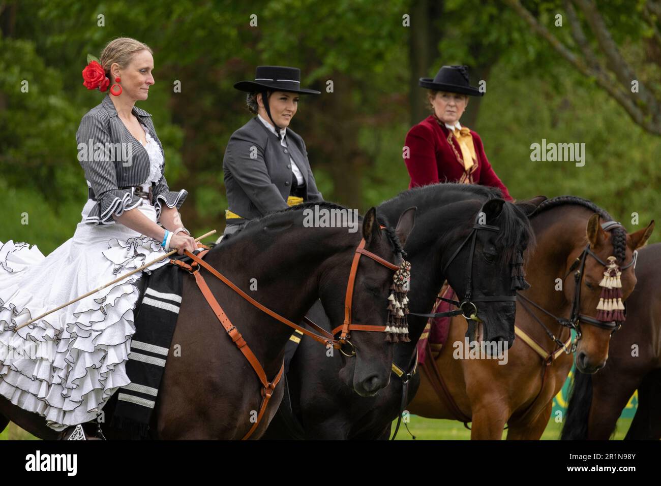 PHOTO:JEFF GILBERT 13th May 2023. Riders participate in the Class 114 Purebred PRE, PRE Fusion ands PRE Associated Breeds - Ridden (Spanish) at this y Stock Photo