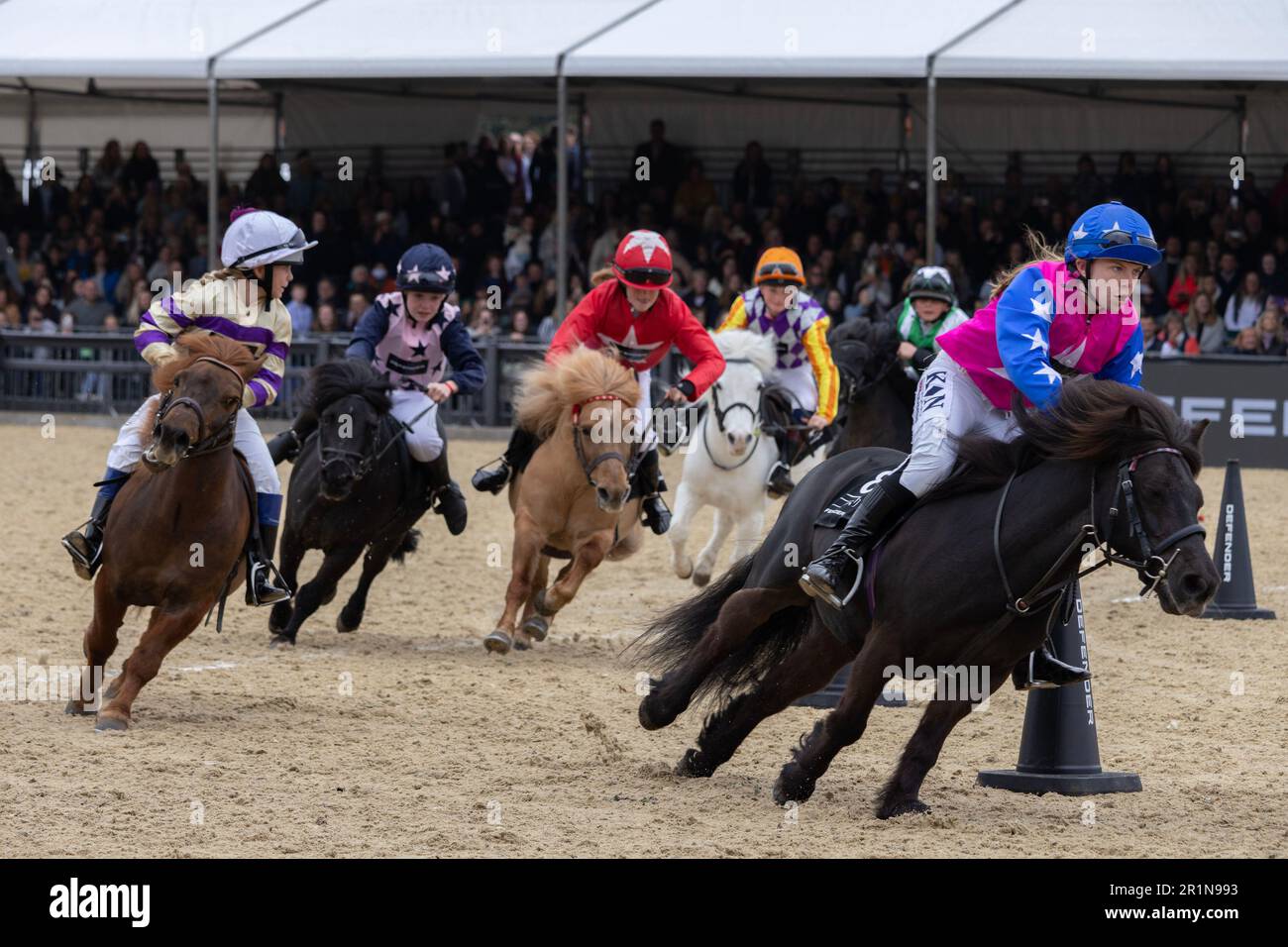 Young riders participate in the Miniature Shetland Grand National in the Castle Arena, on Saturdays Royal Windsor Horse Show, Berkshire, England, UK Stock Photo