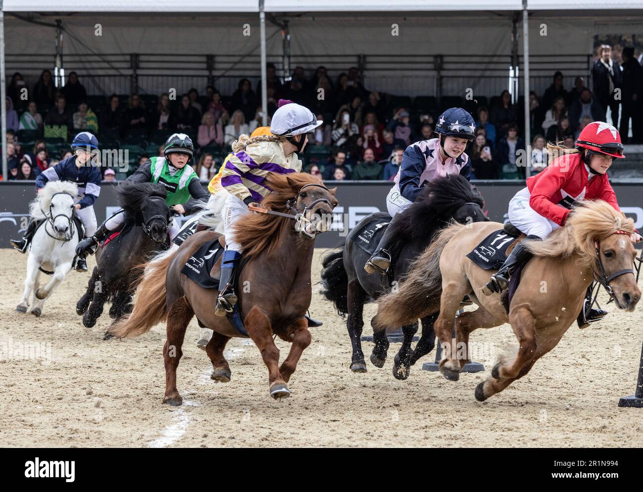 Young riders participate in the Miniature Shetland Grand National in the Castle Arena, on Saturdays Royal Windsor Horse Show, Berkshire, England, UK Stock Photo