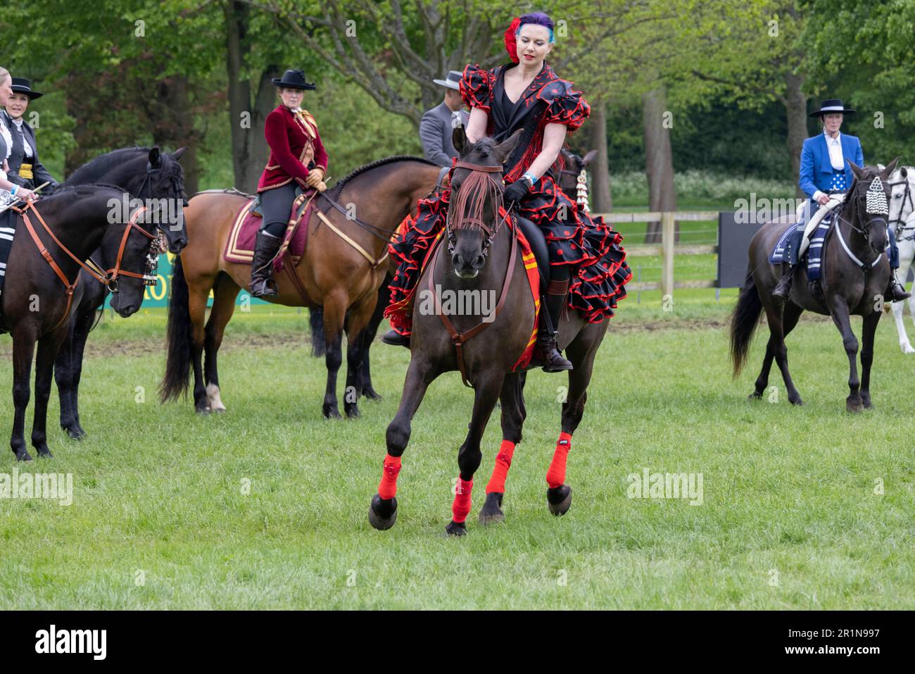 PHOTO:JEFF GILBERT 13th May 2023. Riders participate in the Class 114 Purebred PRE, PRE Fusion ands PRE Associated Breeds - Ridden (Spanish) at this y Stock Photo