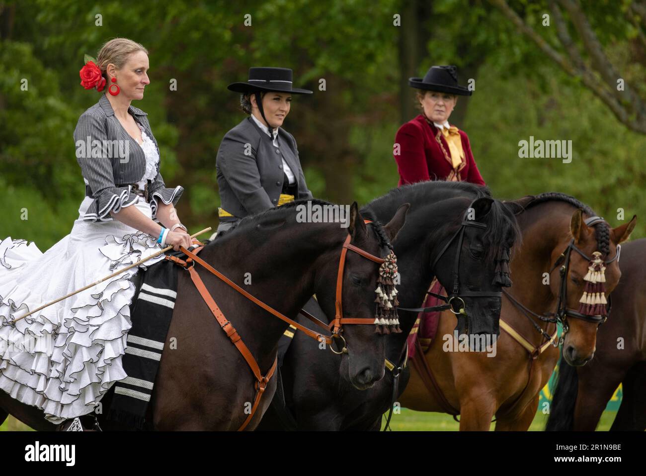 PHOTO:JEFF GILBERT 13th May 2023. Riders participate in the Class 114 Purebred PRE, PRE Fusion ands PRE Associated Breeds - Ridden (Spanish) at this y Stock Photo