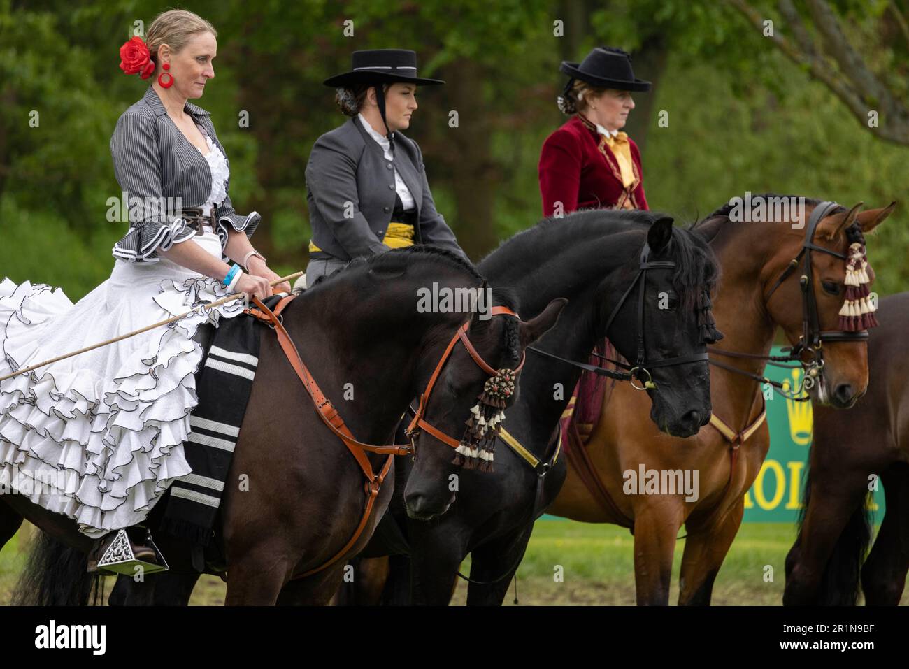 PHOTO:JEFF GILBERT 13th May 2023. Riders participate in the Class 114 Purebred PRE, PRE Fusion ands PRE Associated Breeds - Ridden (Spanish) at this y Stock Photo