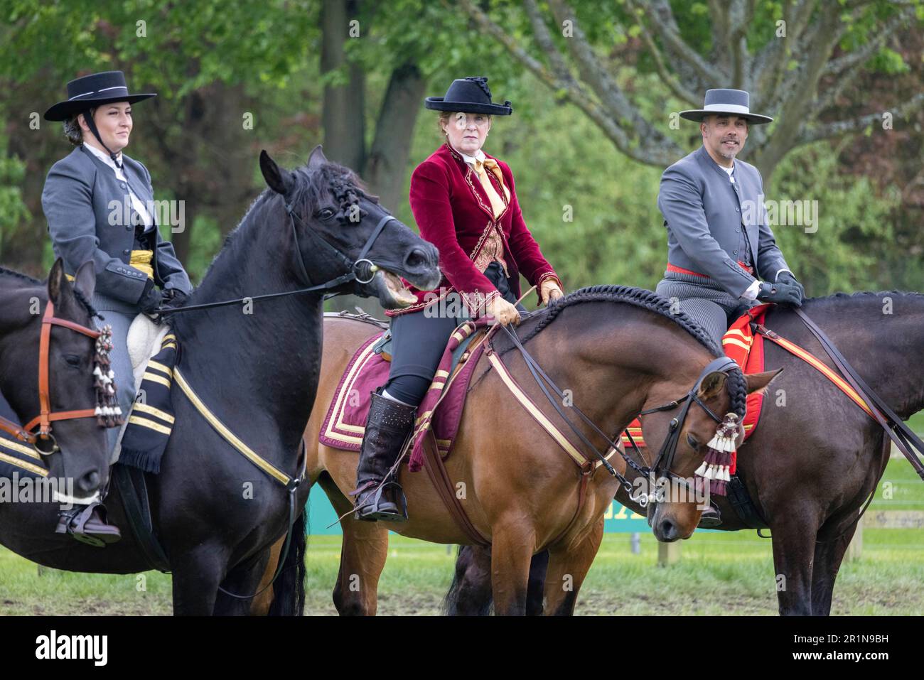PHOTO:JEFF GILBERT 13th May 2023. Riders participate in the Class 114 Purebred PRE, PRE Fusion ands PRE Associated Breeds - Ridden (Spanish) at this y Stock Photo