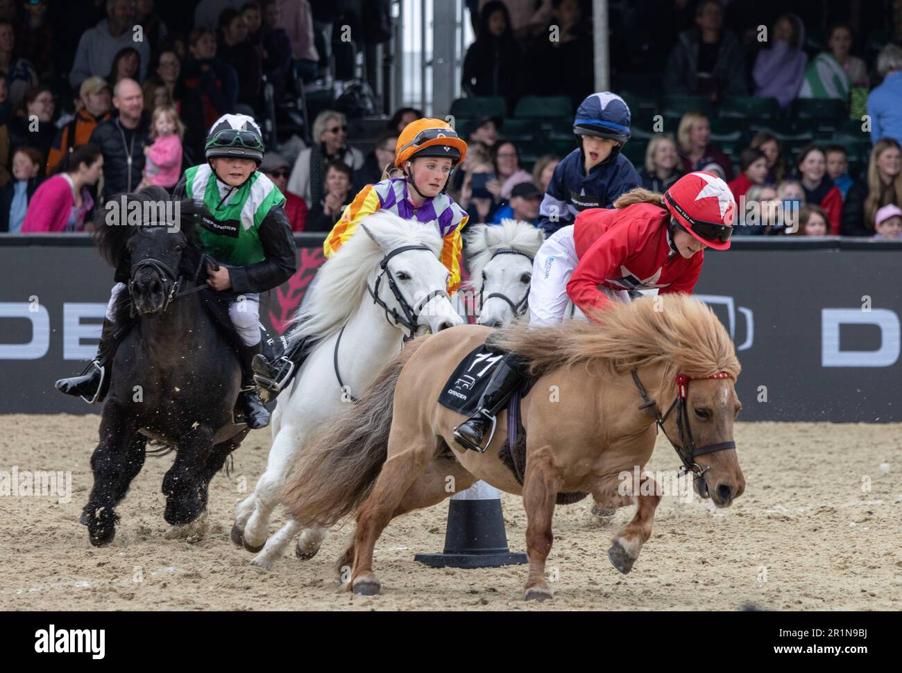 Young riders participate in the Miniature Shetland Grand National in the Castle Arena, on Saturdays Royal Windsor Horse Show, Berkshire, England, UK Stock Photo