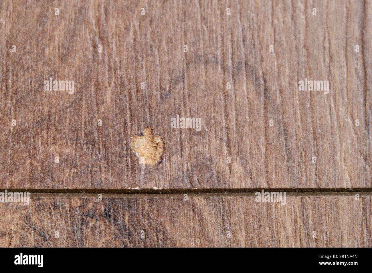 Getting started on fixing a hole in a laminate floor Stock Photo Alamy