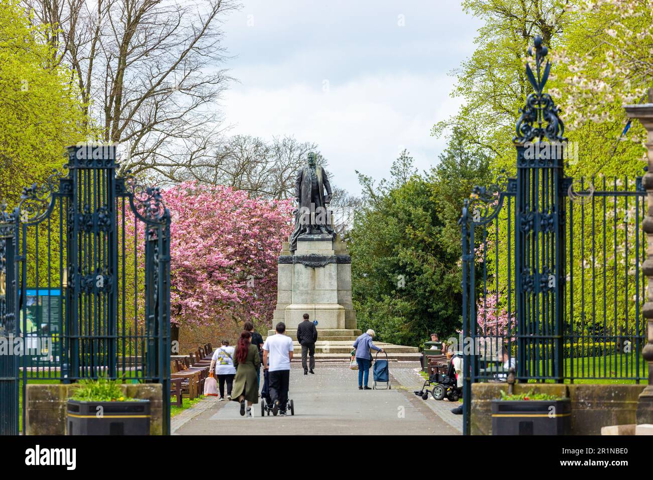 Spring cherry blossom and the statue of Andrew Carnegie in Pittencrieff park ,Dunfermline, Fife, Scotland Stock Photo