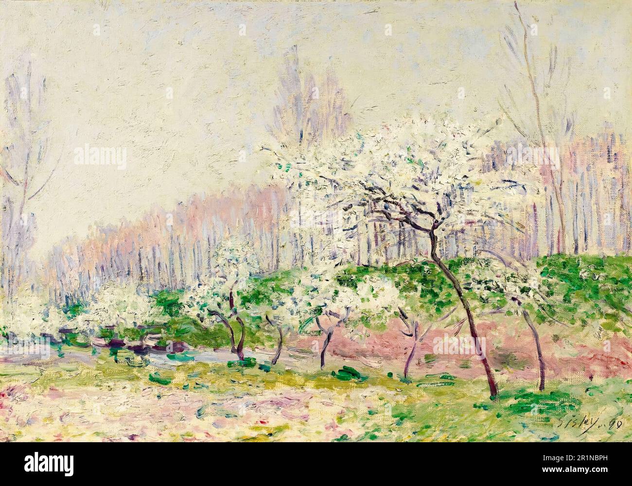 Les Pommiers En Fleurs, (Apple Blossoms), landscape painting by Alfred Sisley, 1890 Stock Photo