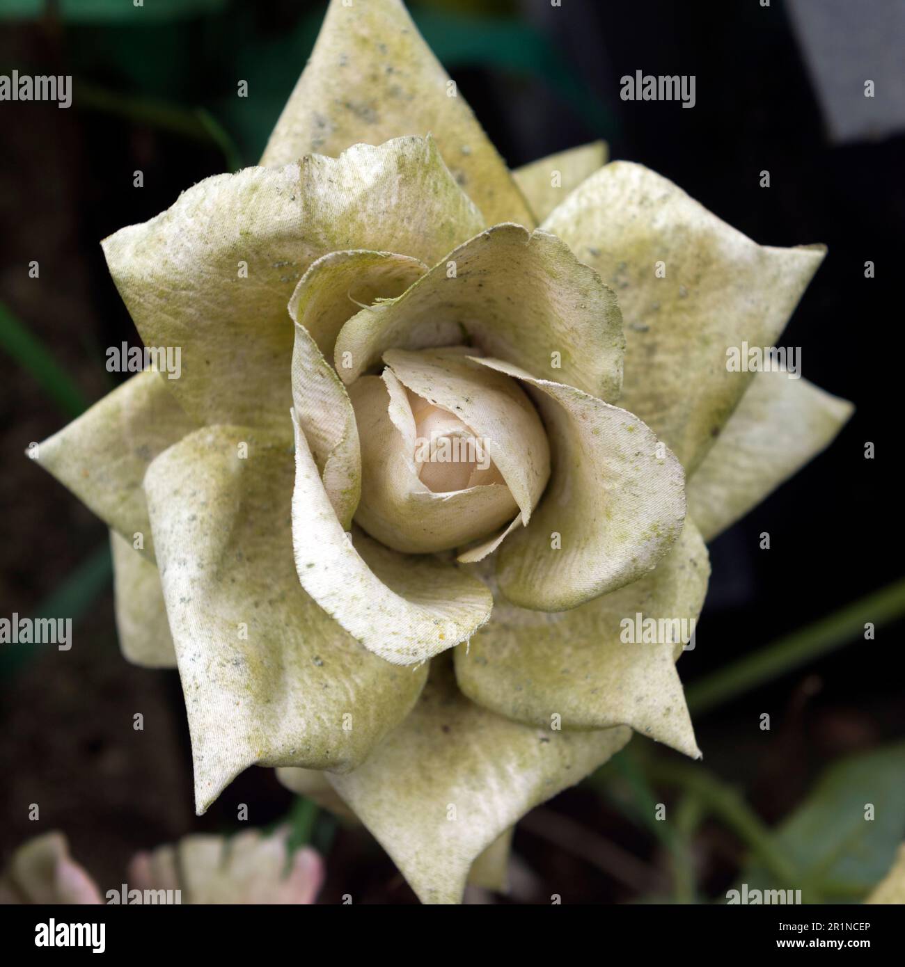A faded artificial flower on a grave. Stock Photo