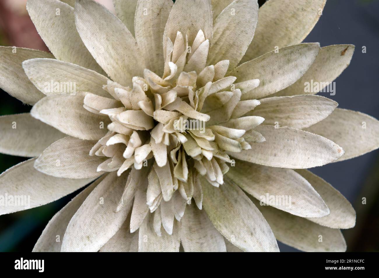 A faded artificial flower on a grave. Stock Photo